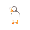 Papageientaucher Puffin