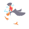 Papageientaucher Puffin