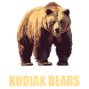 Kodiakbären Kodiakbär