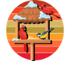 Bird Feeding