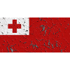 Gift for Tonga