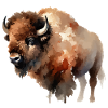 Bison Paint
