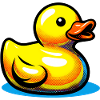 Duckling Duck Duck Duck