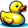 Duckling Duck Duck Duck