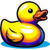 Duckling Duck Duck Duck