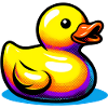 Duckling Duck Duck Duck