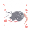Opossum Possum Animal