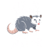 Opossum Possum Animal