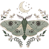 Whimsical Moth Illustration