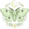 Whimsical Moth Illustration