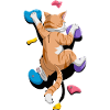 Lustige Boulder-Katze Felsenkletterns