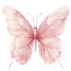 butterfly, butterfly wings