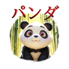 Cute Panda Design