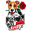 Jack Russel Dog - Rock on