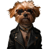 Doggy