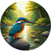 Kingfisher sits by stream