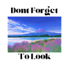 Dont Forget
