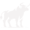 stier tier