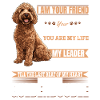 Propriétaire de chien Goldendoodle