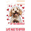 Propriétaire de chien Goldendoodle