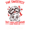 Shih Tzu Dog Owner