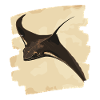 Manta Rays Retro