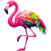 Flamingo