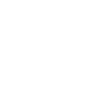 Builder as a profession