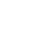 2025 Ornament
