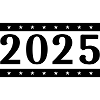 2025 year