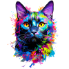 Painted Domestic Black Cat