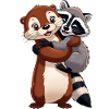 Otter and raccoon