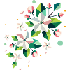 Geometric spring apple blossom branch