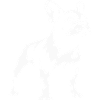 Illustration d’un bouledogue français