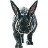 Kaninchen