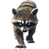 Waschbär
