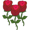 Roses triple