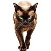 Birmanisch