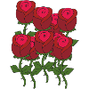 roses