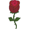 Rose Fabric
