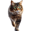 Sibirisch