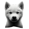 Akita