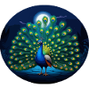 Peacock at full moon