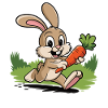 Quick bunny with carrot
