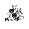 Love Dogs Hate Nazis