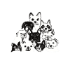Love Dogs hate People