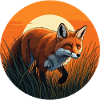 Fox at sunset