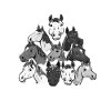 Love Horses Hate Nazis