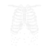 skeleton