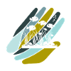 Aquarium Fish